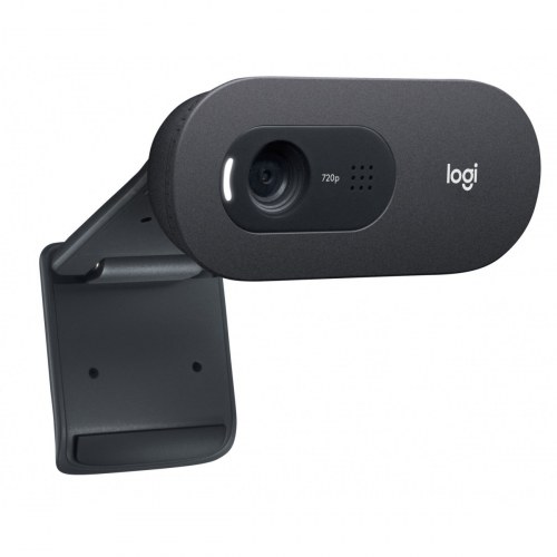 Webcam Logitech C505e (960-001372