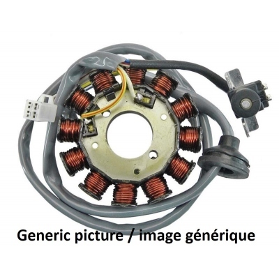 TECNIUM Stator Honda CBR900RR Fireblade 13004