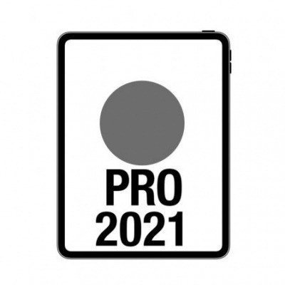 Apple iPad PRO 11/ 1TB/ Gris Espacial