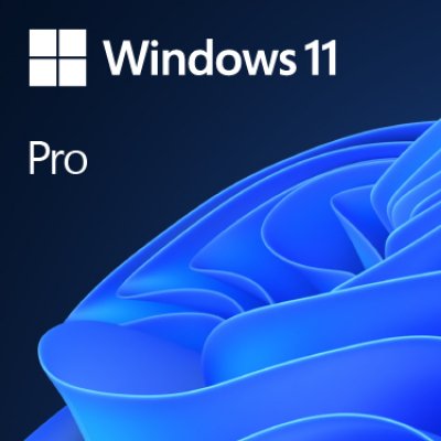 Windows 11 Pro Producto empaquetado completo (FPP full packaged product) 1 licencia(s)