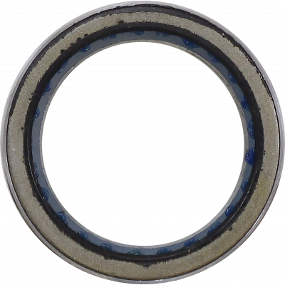 Clutch Bearing MOOSE UTILITY 100-4202-PU