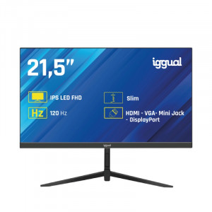 Monitor 21,5 IPS 1ms FHD 120Hz VGA HDMI DP