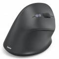 vista 4