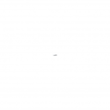 APPLE MAGIC MOUSE WHITE