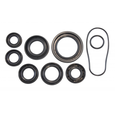 Oil Seal Kit VINTCO KOS004