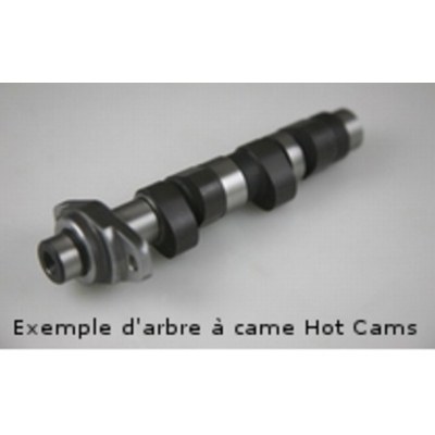 HOT CAMS Camshaft - Stage 1 Polaris 5246-1