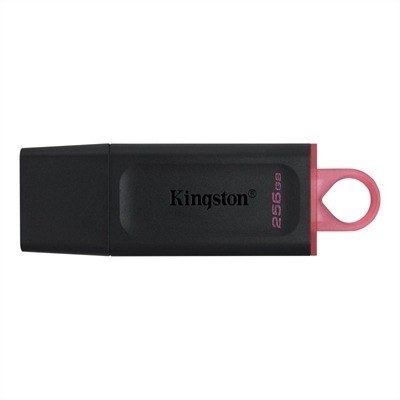 Kingston DataTraveler Exodia - Unidad flash USB - 256 GB - USB 3.2 Gen 1 - negro/rosa
