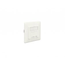 DeLOCK 86195 toma de corriente RJ-45 Blanco
