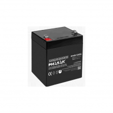 Phasak PHB 1205 Batería 12 V 5Ah plomo-acido sellada