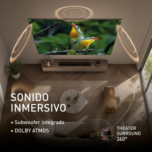 Imagen adicional del producto