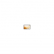 Samsung Galaxy Tab S8+ SM-X800N 128 GB 31,5 cm (12.4