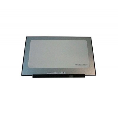 Pantalla para portátil LED 17.3\ Slim 30 Pines 1600x900 / Sin Brackets / B173RTN03.0