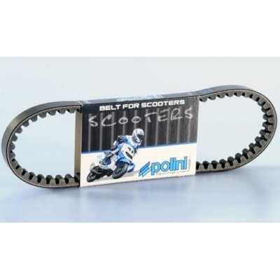 POLINI Standard Transmission Belt 248.003.F