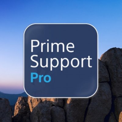 2Y PrimeSupport Pro 1 licencia(s) 2 año(s)