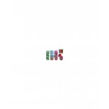 PORTATODO SILICONA RAINBOW EXTENSIBLE + LAPICEROS BISMARK 330188
