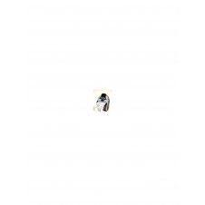 Zebra Z-Perform 1000D cinta para impresora