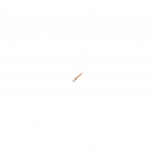 Equip Latiguillo de red Cat6 S/FTP (S-STP) 0.5m naranja