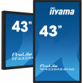 vista 1