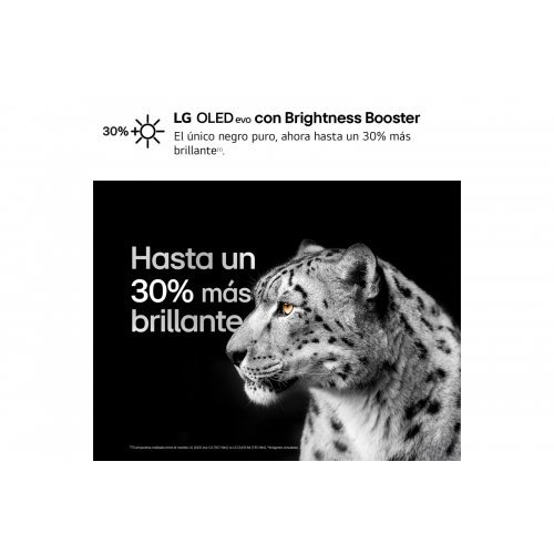 Imagen adicional del producto