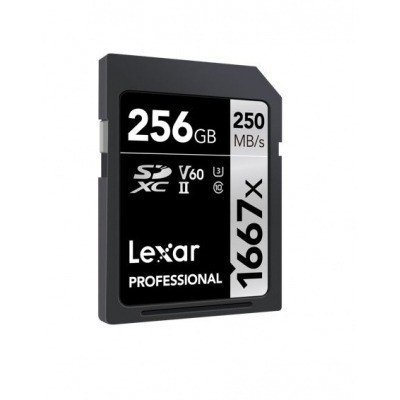 256GB PROF. 1667X SD USH-I