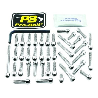 Kit carenado para Kawasaki PRO BOLT EKA420SS