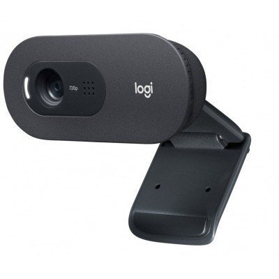 WEBCAM LOGITECH C505E 720P HD NEGRO