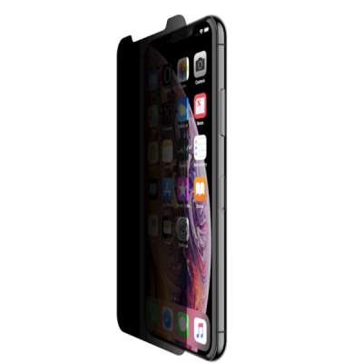 INVSG PRIVACY IP 11PRO MAX/XS MAX