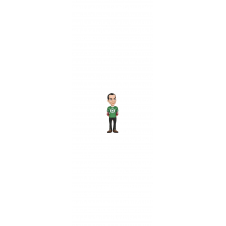 MINIX The Big Bang Theory
