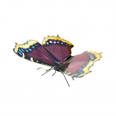 Metal Earth Mourning Cloak