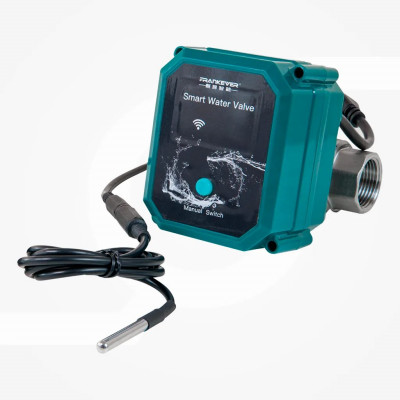 FrankEver Smart water valve DN25