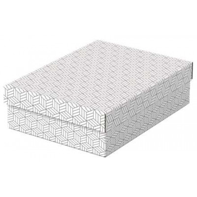 Pack de 3 cajas de almacenamiento con tapa Esselte - 265x100x360mm - Cartón 100% reciclado - Blanco con dibujo