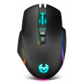 vista 1