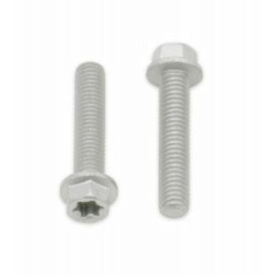 Tornillos con cabeza hexagonal/Torx BOLT M6 x 1,00 x 30mm 024-60630