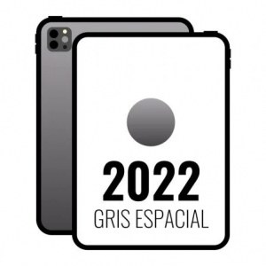 Apple iPad Pro 11" 2022 4th WiFi/ M2/ 1TB/ Gris Espacial - MNXK3TY/A