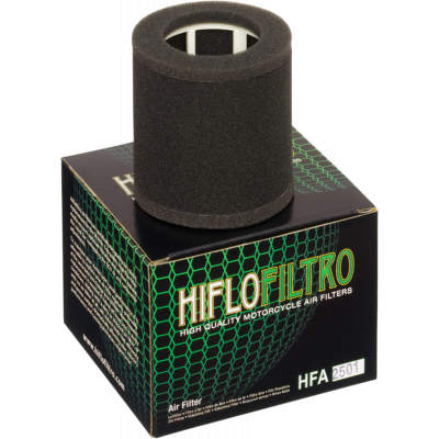 Filtro de aire de recambio OEM HIFLOFILTRO HFA2501