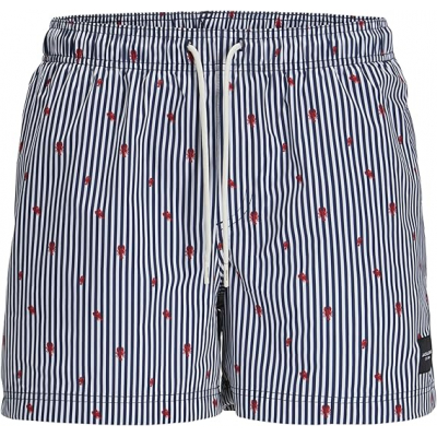 Bañador JACK & JONES JPSTMAUI JJSWIM MINI STRIPE 12272933 MARINO Marino