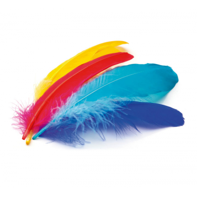 B.50U PLUMAS INDIO NIEFENVER 6 COLOR. STDO 0900208