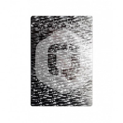 Lamina trasera de personalizacion qcharx plata relieve