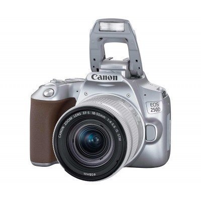 CANON EOS 250D SILVER + OBJETIVO ZOOM EF-S18-55MM F/3.5-5.6 III / CÁMARA REFLEX DIGITAL