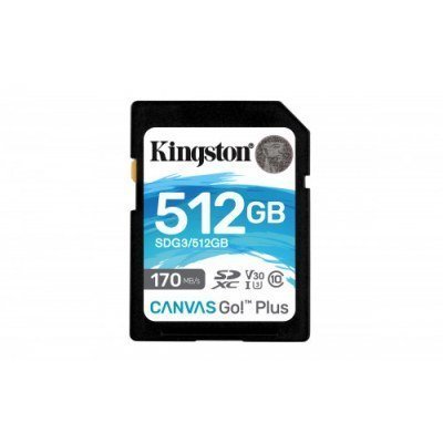 512GB SD CANVAS GO PLUS 170R C10