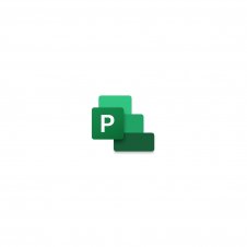 Microsoft Project Professional 2021 Completo 1 licencia(s) Pluriling?e