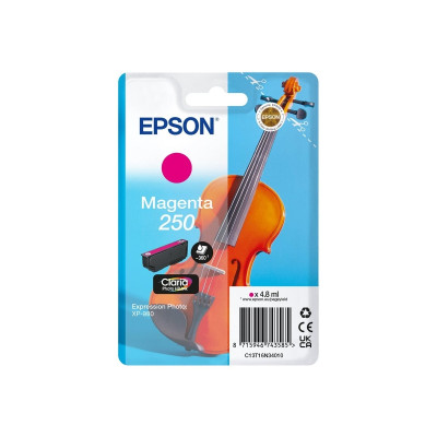 Epson 250 Magenta Cartucho de Tinta Original - C13T16N34010
