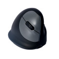 vista 4