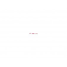 BIC Atlantis Stick Rojo 12 pieza(s)