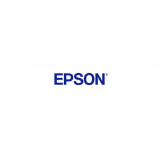 Epson C13T16P84510 cartucho de tinta