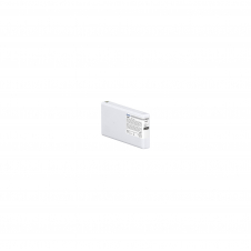 Epson UltraChrome Pro10 cartucho de tinta 1 pieza(s) Original Gris