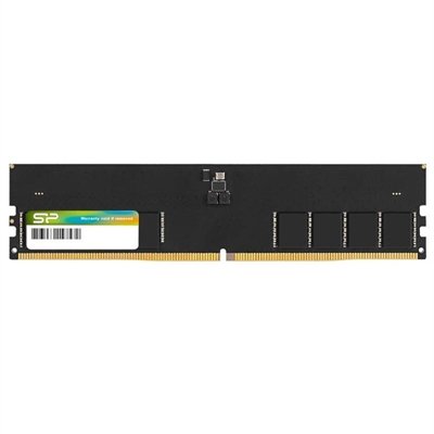 Dimm 16GB DDR5 5600Mhz SP