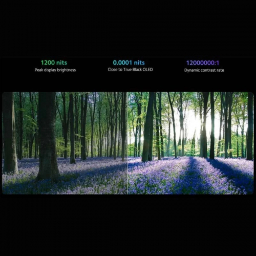 Imagen adicional del producto