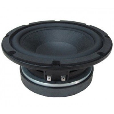 Altavoz 8 300Waes BEYMA 8P300Fe/N