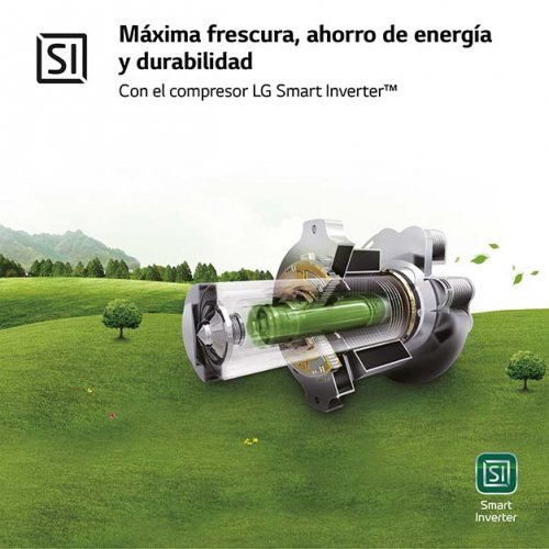 Imagen adicional del producto